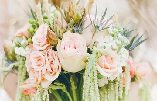 男處女座三區和女處女座三區配對