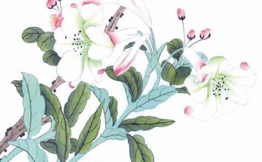 屬猴和鼠婚配嗎 屬鼠與屬猴婚配 屬猴和鼠婚配嗎 屬鼠與屬猴婚配