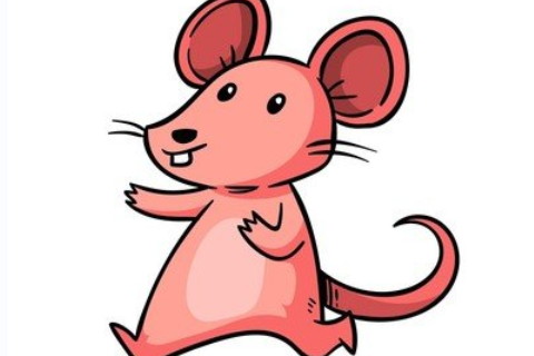 屬鼠和屬猴的婚姻如何?屬鼠和屬猴婚姻怎么樣