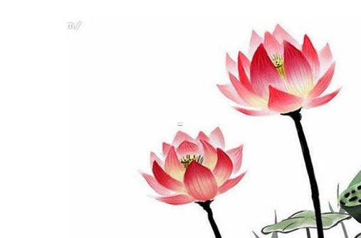 2023年屬兔月份命重 2023年屬兔月份命重