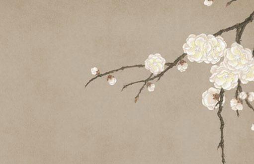 80年屬猴人今年運(yùn)氣 80年屬猴人的運(yùn)程 80年屬猴人今年運(yùn)氣 80年屬猴人的運(yùn)程