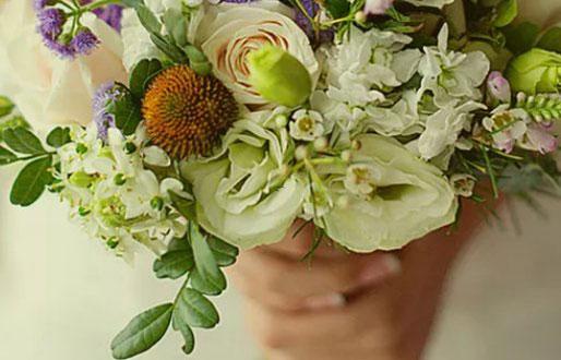 意志力最高的星座 意志力最高的星座