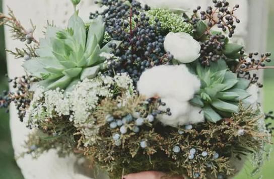 雙魚座男生和巨蟹座女生配對 雙魚座男生和巨蟹座女生配對