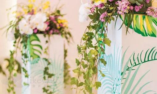 男獅子座一區和女巨蟹獅子座配對