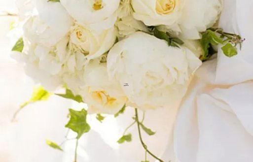 上升星座白羊座具有哪些特征？