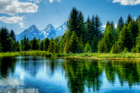 屬虎女和屬雞男的相配嗎 虎女雞男屬相性格合不合