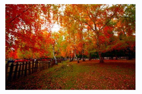 夫妻宮七殺男命?夫妻宮七殺入廟女命