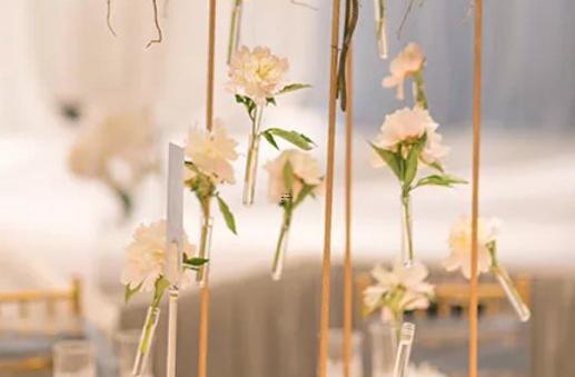 男水瓶座二區和女獅子座一區配對 男水瓶座二區和女獅子座一區配對