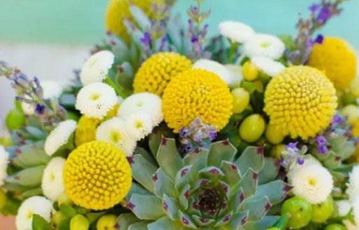 2015正桃花最旺星座