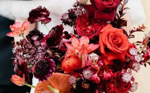 12星座八卦下載 12星座八卦下載