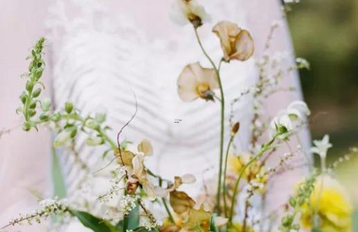 水瓶座是個不行得星座 水瓶座是個不行得星座