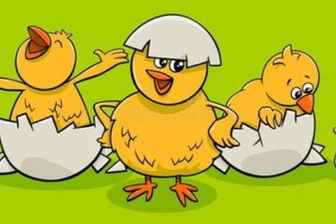 雞和兔能不能配夫妻?兔和雞相沖的后果