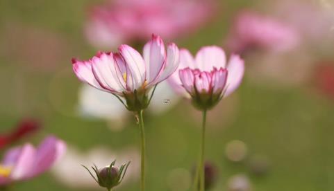 夢見長凳是什么意思 夢見長凳是什么意思