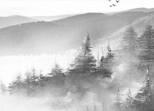 屬龍人遇鼠年運程 屬龍人在鼠年的運勢
