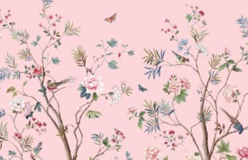 屬龍的女人適合養什么植物 屬龍的女人適合養什么寵物 屬龍的女人適合養什么植物 屬龍的女人適合養什么寵物