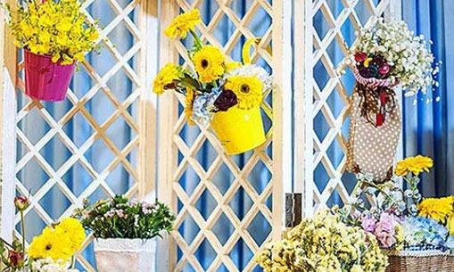 膽小的星座有什么 膽小的星座有什么