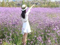 夢見努力用水澆火是什么意思