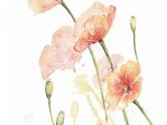 文學(xué)作品中好聽的名字