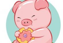 生肖豬幾月份出生的人最好命?生肖豬的婚姻與命運