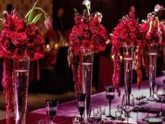 世界上的財富都集中在哪個星座