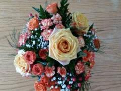 8月14日生日書，8月14日是什么星座：獅子座