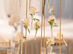 男水瓶座二區和女獅子座一區配對