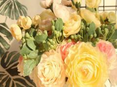 雙子座中的星座最好