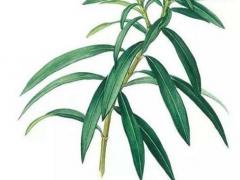 屬牛女摩羯座2023運勢