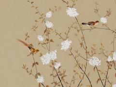 屬狗出生年月日 屬狗的出生年份