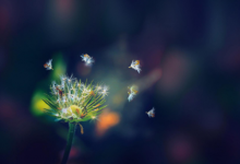 1986年屬虎的人婚配 86年屬虎五行屬于什么命