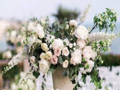 第一宮命宮落在巨蟹座