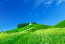 牛和什么屬相相沖 牛相沖相克的生肖