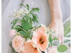 屬牛的是第幾星座