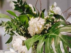 桃花的對(duì)應(yīng)星座