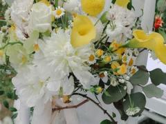 星座衣著品位大比拼