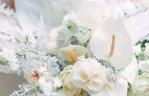 男雙子座二區和女獅子座二區配對 男雙子座二區和女獅子座二區配對