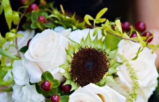 揭秘灰原哀是什么星座的