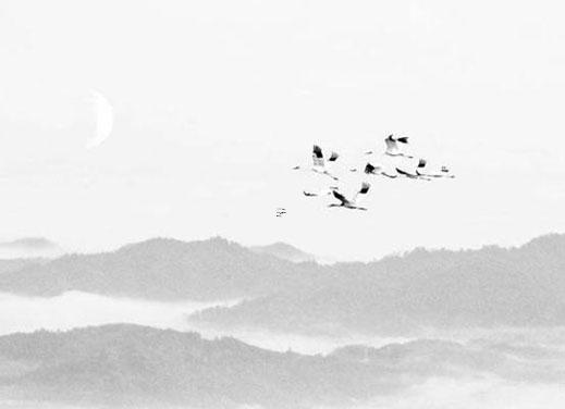 八字壬水是什么意思 八字命理壬水篇