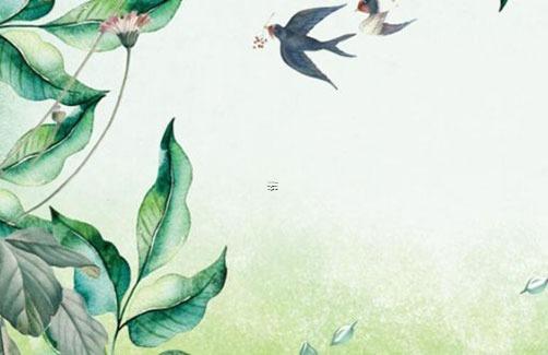屬蛇家中養(yǎng)什么花最好,屬蛇家養(yǎng)什么花帶來好運(yùn)
