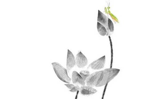 乙八字五行缺什么 乙八字屬性