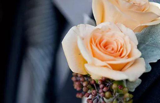 偶像活動十二星座歌曲 偶像活動十二星座歌曲