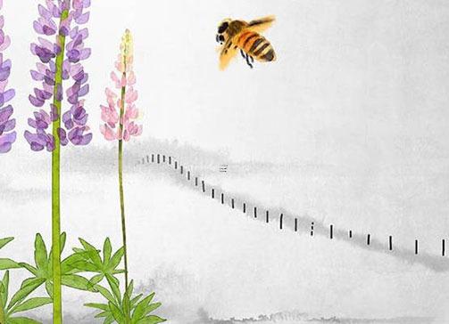 53年屬蛇人的桃花運 53年屬蛇女性命運