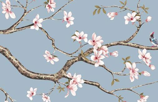 2023年生肖虎女運勢 2023年生肖虎女運勢