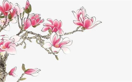 2023年84年屬鼠的命運