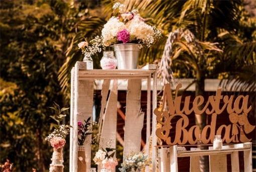 有蛇有星座的成語 有蛇有星座的成語