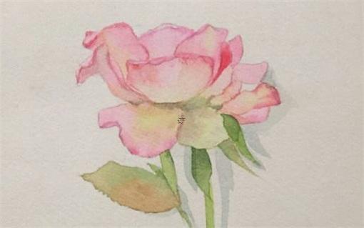 2023年農歷五月兔子命運怎么樣,2023年屬兔五月是什么命 2023年農歷五月兔子命運怎么樣,2023年屬兔五月是什么命