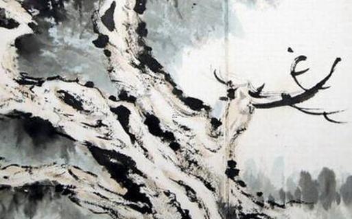 屬兔的服裝顏色,屬兔的穿什么顏色衣服最旺財