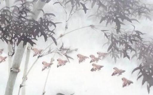屬龍是哪些年份出生的人,屬龍的是哪年出生？