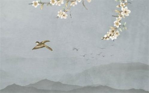 2016年,雙魚座的好運會從哪里來 2016年,雙魚座的好運會從哪里來