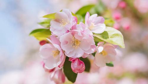 女生做夢夢到懷孕生男孩 女生做夢夢到自己懷孕生了個男孩 女生做夢夢到懷孕生男孩 女生做夢夢到自己懷孕生了個男孩